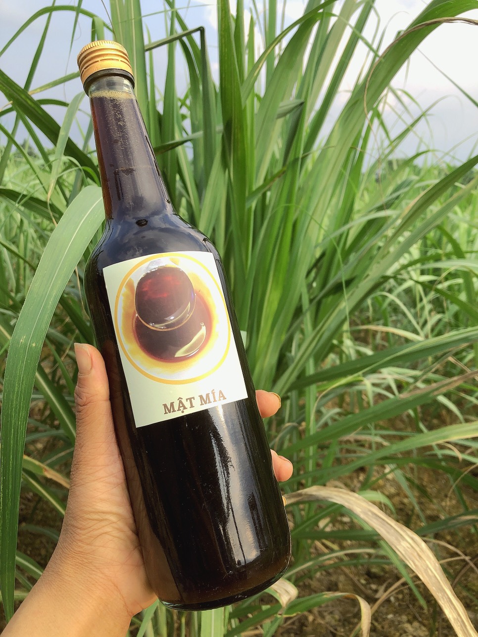 Mật mía Phú Gia